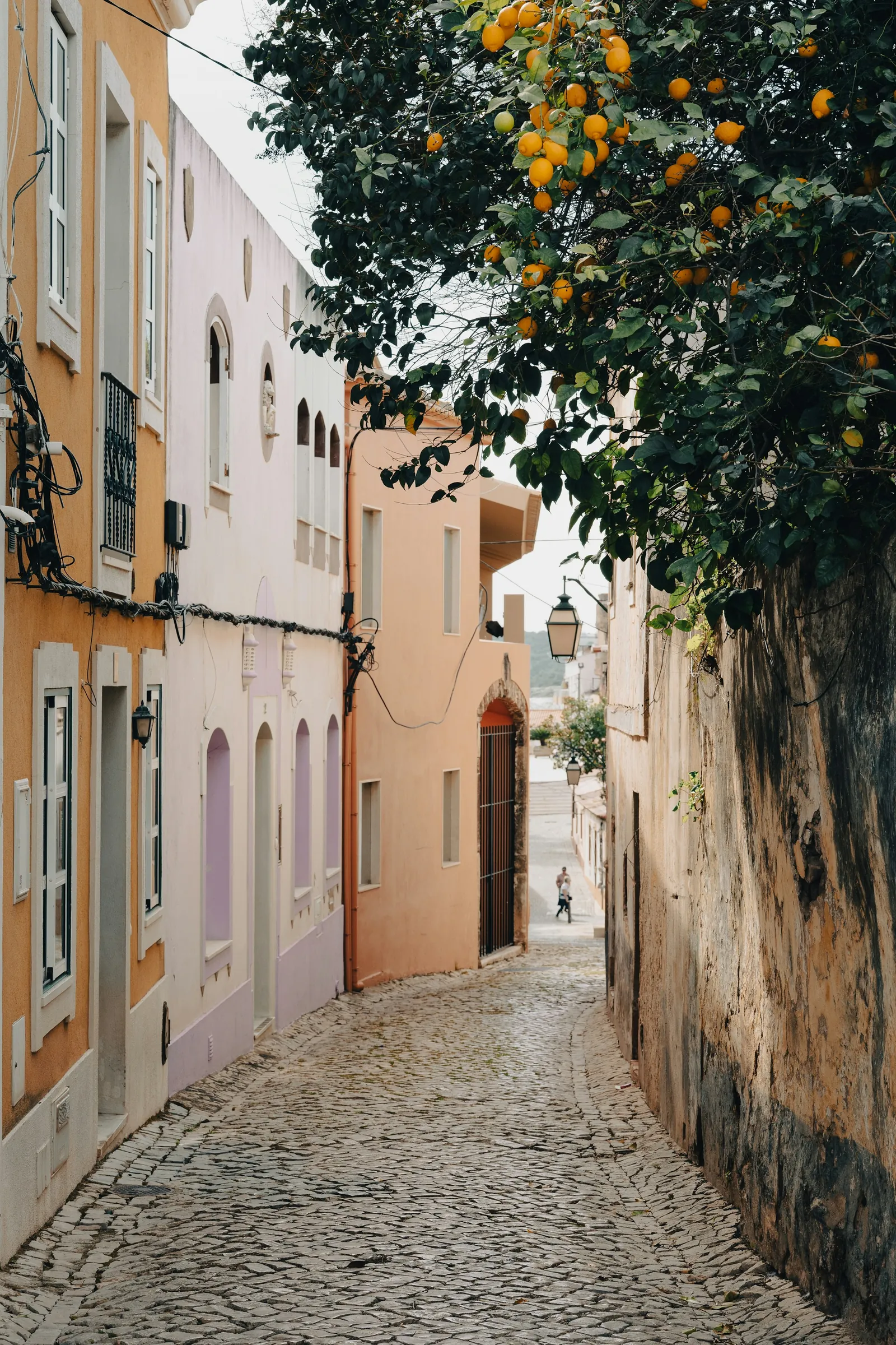An orange tree above a cobbled street in Silves, Portugal